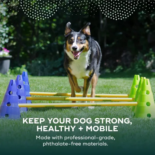 Vista 2 de FitPAWS Kit de agilidad Ball Dynamics CanineGym