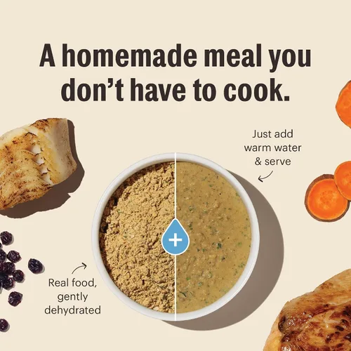 Vista 5 de The Honest Kitchen Alimento integral de pollo deshidratado sin granos, receta de grado humano con probióticos y pollo sin jaula, soporte digestivo