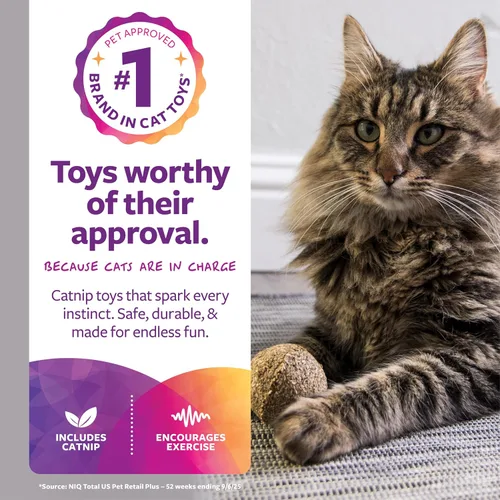 Vista 2 de SmartyKat Catnip - Juguetes para gatos