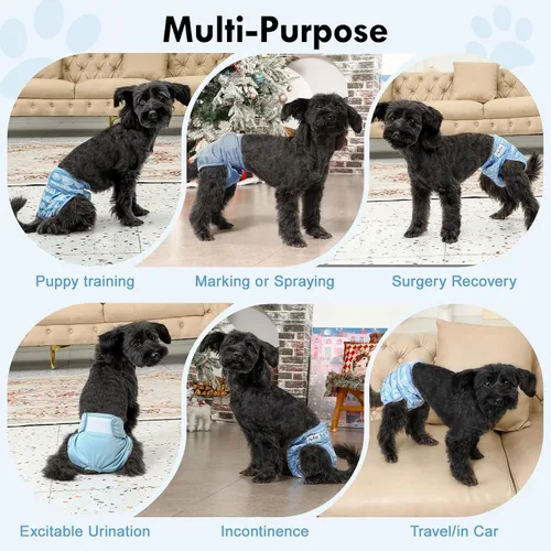 Vista 9 de JoyDaog Pañales para perras para perros pequeños, paquete de 4, reutilizables, lavables, de primera calidad, para cachorros, para calor