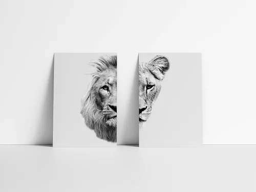 Vista 2 de Black and White Pair of Lions Prints Matching Mr and Mrs Set of 2 Prints Lion and Lioness Photo Print 11x14 Safari Wildlife Art Ready to Frame