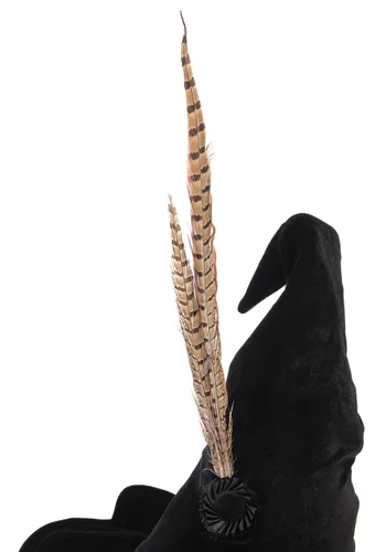 Vista 7 de Sombrero de Disfraz de Profesora McGonagall para Mujer Harry Potter Multicolor