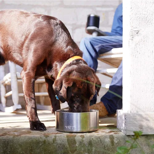 Vista 6 de YETI Boomer 8 - Tazón antideslizante y de acero inoxidable para perro, con capacidad de 64 onzas