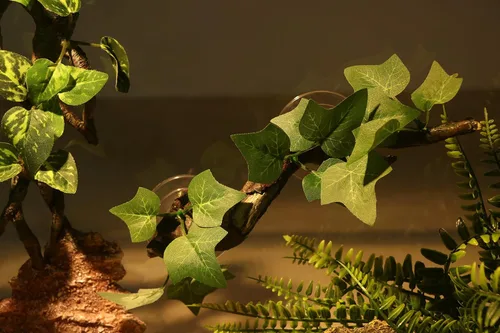 Vista 7 de AQUA KT Rama de Esquina de Terrario de Reptiles con Planta Decorativa y Ventosa para Anfibios, Lagartos y Serpientes Trepadoras