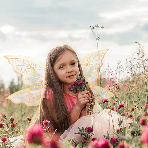 Vista 5 de Fairy Wings Costume Organza Angel Butterfly Wings for Women Girls Dress-up Accessories Christmas Cosplay Costume