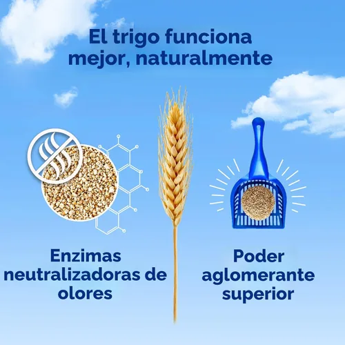 Vista 7 de swheat Scoop fast-clumping all-natural Aserrín para gatos