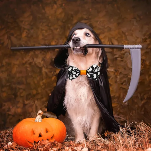 Vista 3 de Collar de perro de Halloween con corbatín, collar ajustable de vacaciones con estampado de fantasma con hebilla resistente, 3 tamaños para perros
