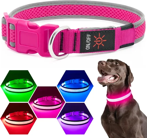 Vista 12 de Flashseen Collar LED para perro, collar de perro con luz recargable por USB, luces más brillantes para caminar por la noche, collar de perro con luz