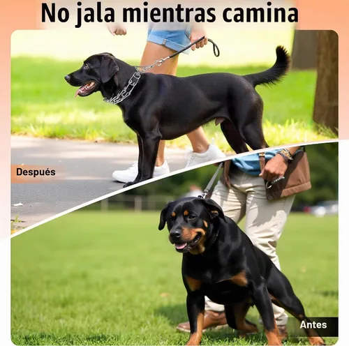 Vista 5 de DEYACE Collar de entrenamiento para perros de acero inoxidable, hebilla de liberación rápida, collar ajustable para perros pequeños, circunferencia