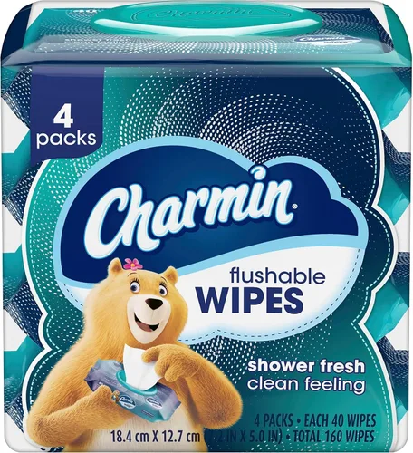 Vista 10 de Charmin Toallitas desechables, 160 toallitas en total (4 paquetes de 40)