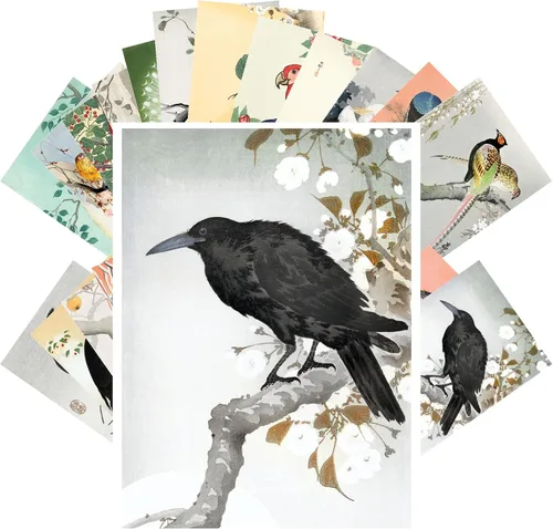 Vista 5 de Pixiluv Postales vintage (24 piezas de 10x15 cm cada una) Ilustración de libro botánico antiguo de colibríes y pájaros pequeños Tarjetas de nota Agua