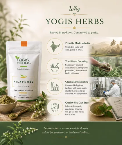 Vista 8 de YOGIS HERBS Polvo de Nilavembu - Andrographis paniculata/Kalmegh/King of Bitters - Hierba tradicional Tamil Siddha para el bienestar diario