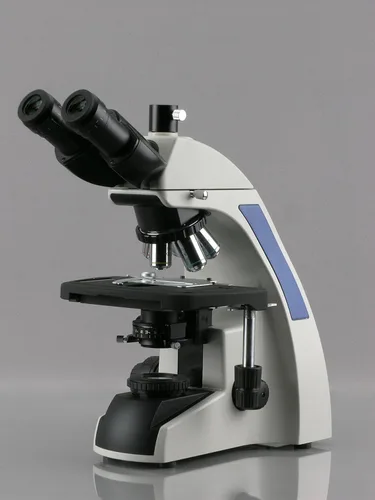 Vista 4 de AmScope - Microscopio compuesto de laboratorio infinito 40X-1000X con pantalla táctil LCD - T720Q-TP