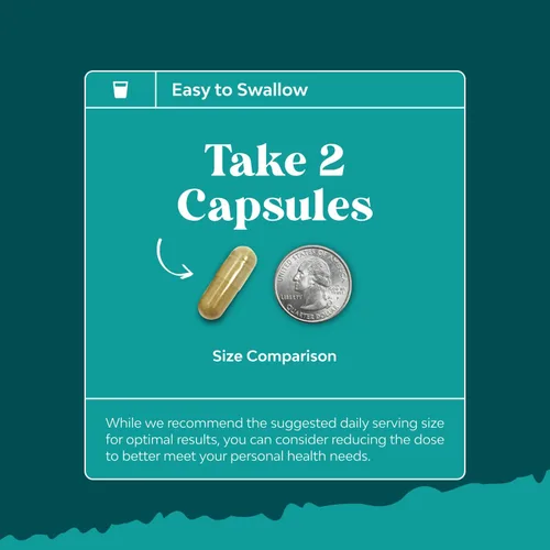 Vista 5 de Natures Craft Paquete de 2 Limpieza Desintoxicación y Reparación del Hígado - Suplemento Herbal de Apoyo Hepático de Cardo Mariano - Suplementos