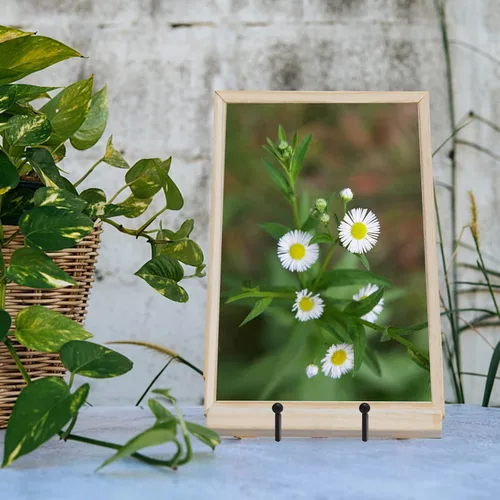 Vista 5 de Ouskr 4 Piezas Soportes para Platos de 4-1/4 Pulgadas para Exhibición, Soportes de Metal Hierro para Marcos de Cuadros para Libro Foto Pequeños