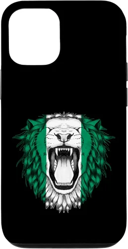 Vista 28 de Nigeria Case for iPhone 17
