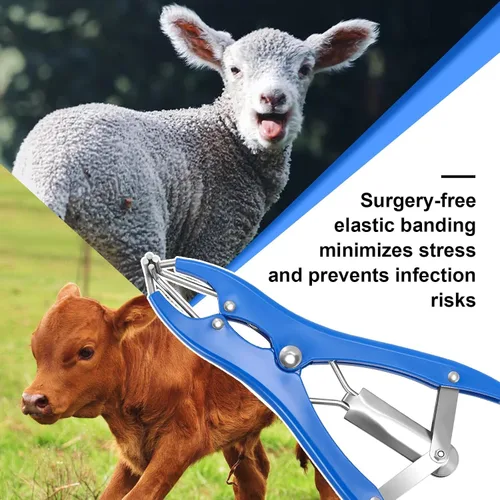 Vista 7 de Kit de Anillado para Cabras, Elastrador de Acero Inoxidable con 200 Piezas de Bandas de Goma de 3 Tamaños y Herramienta Expansora para el Manejo