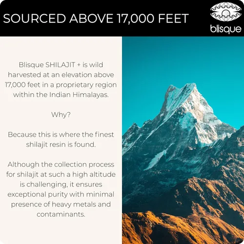 Vista 8 de Blisque – Suplemento de resina de shilajit orgánico puro del Himalaya Auténtico y natural Grado A dorado Contiene ácido fúlvico