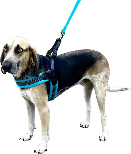 Vista 4 de Sporn Arnés de malla de fácil ajuste para perro de tamaño pequeño, color turquesa, tela suave, de nailon, sin estrangulamiento, arnés para perro