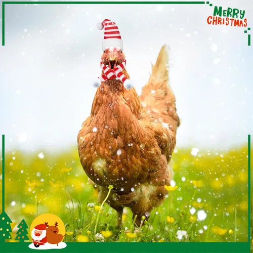 Vista 7 de CCINEE Juego de 12 bufandas de gorro de pollo para mascotas, mini sombrero de Papá Noel, bufanda de Navidad con correa ajustable para la barbilla