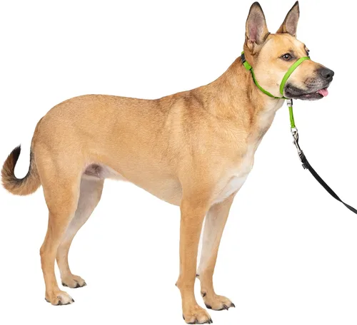Vista 31 de Collar suave de conducción con DVD de entrenamiento PetSafe, Negro
