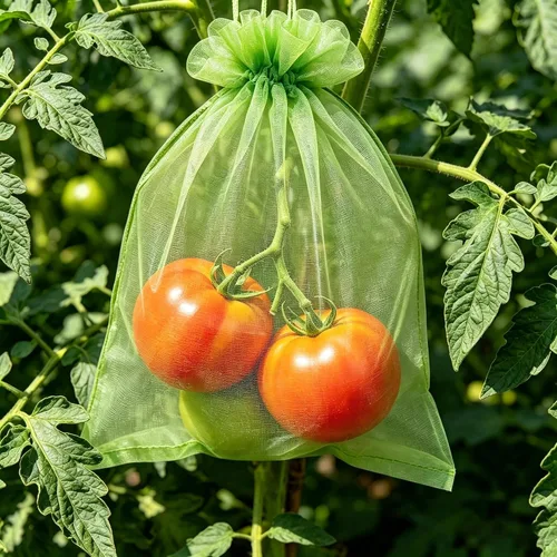 Vista 4 de YunKo 50 bolsas de protección de frutas de 6.5 x 9 pulgadas, bolsa de Verde oliva