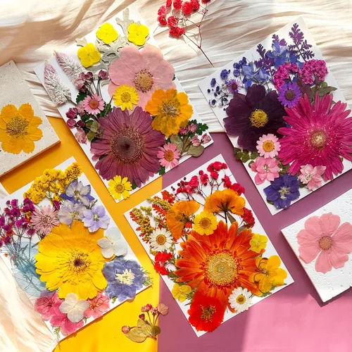 Vista 3 de 90 piezas de flores secas prensadas grandes para moldes de resina, flores naturales reales surtidas, pétalos de hojas para manualidades, joyas