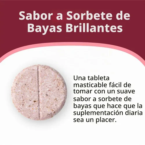 Vista 4 de Celebrate Vitamins Multi ADEK masticables sin hierro, multivitamínico bariátrico diario, alto nivel de vitaminas A, D, E, K y B12 para pacientes