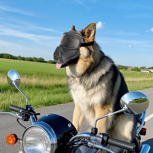 Vista 7 de Gafas de sol para perros de razas grandes, antirayos UV para protección facial completa, máscara para mascotas con agujeros transpirables