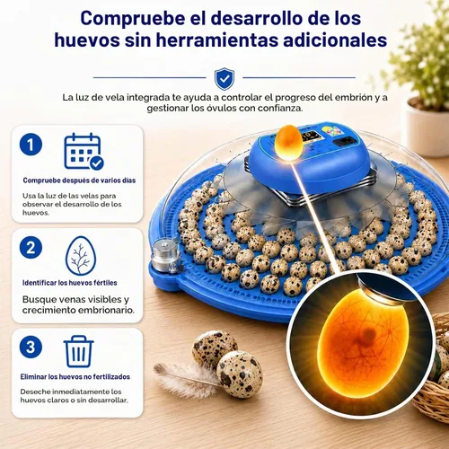 Vista 5 de Incubadora de huevos de codorniz de 100 huevos con girador automático y control de humedad