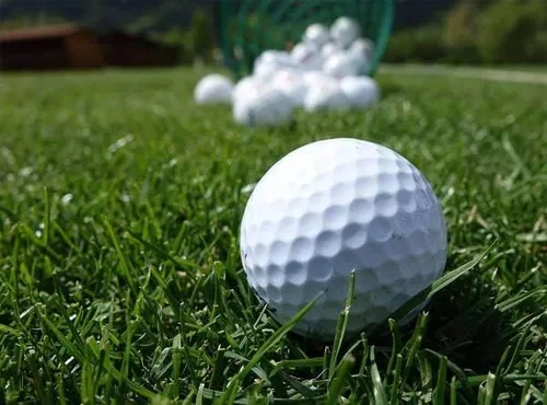 Vista 4 de Lesco Double Eagle - Mezcla de semillas de riegrass perenne (1 libra)