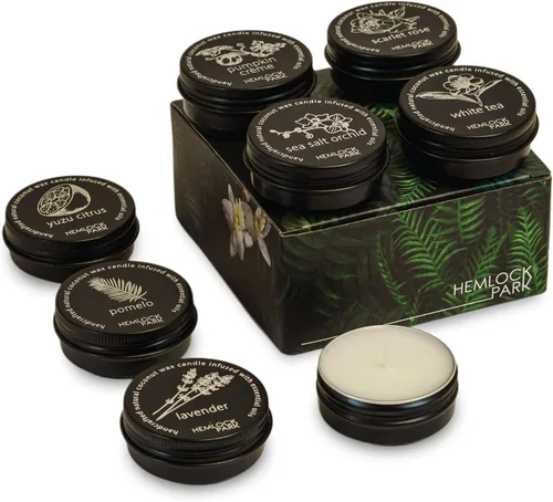 Vista 6 de Hemlock Park Desert Collection - Juego de velas de té de tamaño de viaje