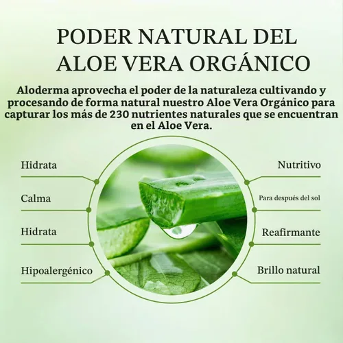 Vista 4 de Aloderma Gel de aloe vera, bomba grande de valor de 17.6 onzas, fabricada dentro de las 12 horas de cosecha con 99% de aloe vera orgánico, ligero