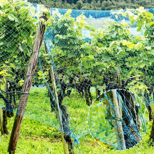 Vista 5 de Boao Red para pájaros para jardín, proteger árboles frutales, verduras, árboles de 13 x 32.8 pies con brida para cables y clavija de jardín