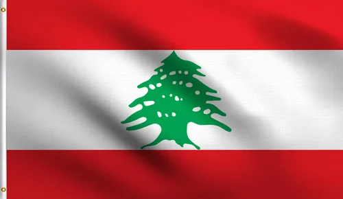 Vista 101 de DMSE - Bandera nacional beninesa beninesa de la República de África Occidental, 2 x 3 pies, 100 % poliéster, 100 % poliéster, resistente a los rayos
