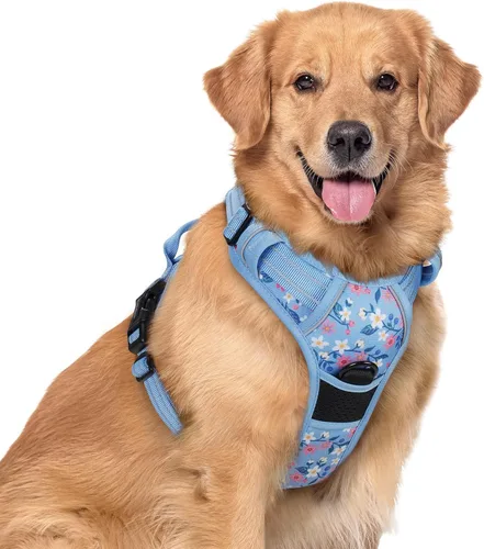 Vista 86 de Rabbitgoo - Arnés para perros sin tirón con 2 clips de correa, chaleco Oxford reflectante acolchado suave ajustable sin estrangulamiento para Beige
