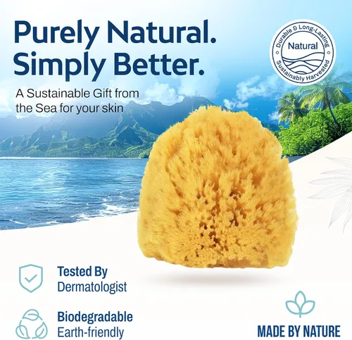 Vista 7 de HartFelt Esponja exfoliante de hierba marina de 4 pulgadas Esponja exfoliante natural para ducha para mujeres y hombres