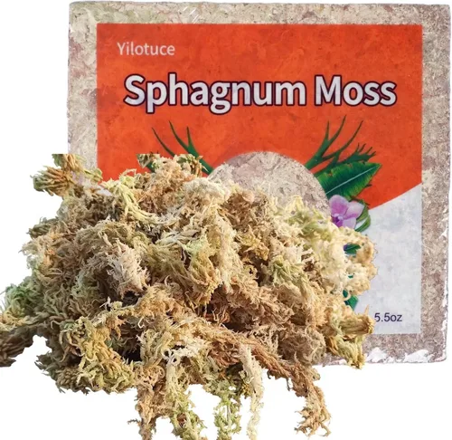Vista 8 de Musgo esfagnum comprimido de 3.2 oz para plantas, musgo esfagnum prémium cuidadosamente seleccionado para orquídeas
