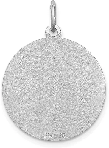 Vista 4 de Collar de plata de ley 925 con dije de disco de perro toro, joyería fina para mujer, regalos para ella, Plata esterlina