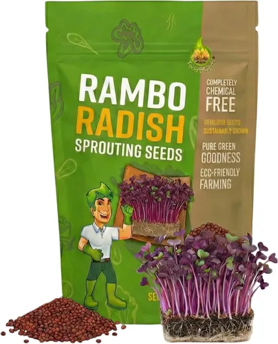Vista 7 de Todd's Seeds Semillas de germinación de rábano Rambo, 1 libra, sin OMG Llamativos brotes rojos/morados. Listo en 5 días. Alto en vitaminas