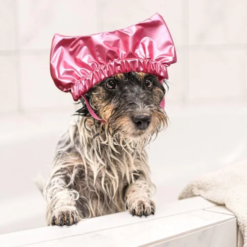 Vista 5 de Leadigol Gorro de baño para perros, gorros de ducha para gatos y mascotas pequeñas, protector de gotas para los oídos, gorro de ducha impermeable