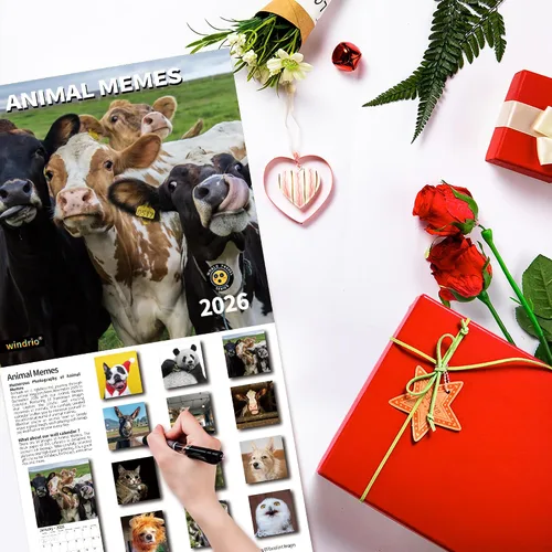 Vista 5 de Calendario de pared 2026, Calendario divertido 2026, noviembre de 2025 - diciembre de 2026, calendario de pared con memes divertidos de animales, 12