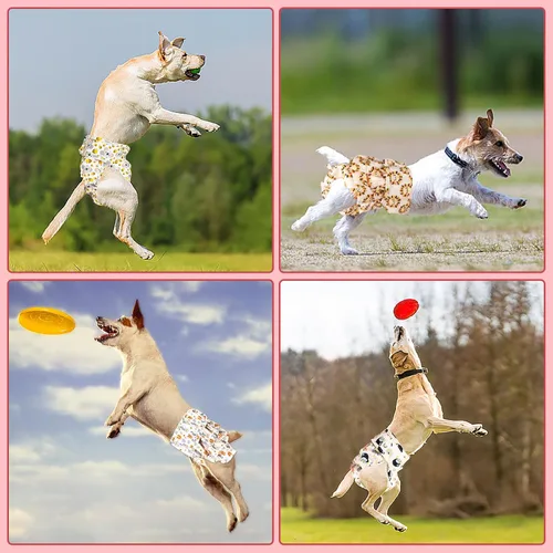 Vista 7 de XPCARE Pañales para Perras Hembras (Paquete de 4) – Pañales Lavables y Reutilizables para Perras Hembras – Pañales para Cachorros Altamente