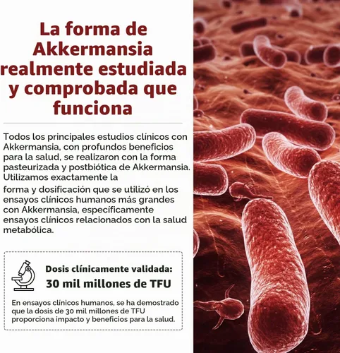 Vista 4 de AK-Postbio: Akkermansia Probiotic 30 mil millones de TFU - Fuerza máxima, dosis clínicamente validada y cepa patentada - Forma pasteurizada