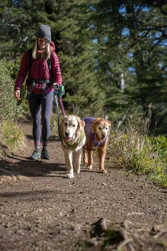 Vista 18 de Ruffwear, Combo de arnés y chaqueta Overcoat Fuse para perros, Naranja Canyonlands, Mediano Púrpura (Purple Sage)