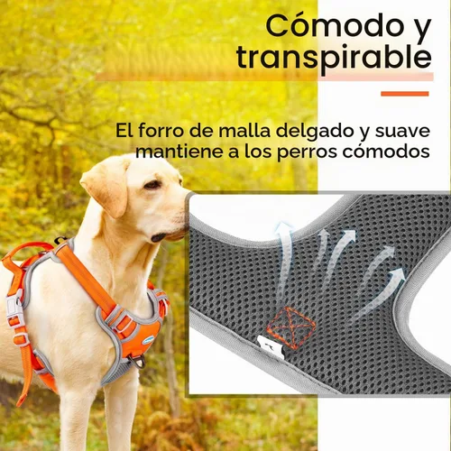 Vista 3 de ThinkPet - Arnés deportivo transpirable sin tirones con asa, arnés reflectante ajustable para perros medianos y grandes, clip trasero y frontal