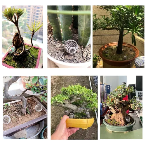 Vista 8 de Paquete de 10 cestas de fertilizantes para bonsái, contenedores de acero inoxidable para plantación de nutrientes, dispensador de riego de alimentos