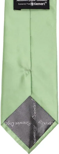 Vista 93 de tiemart Corbata de color sólido para hombre Longitud estándar