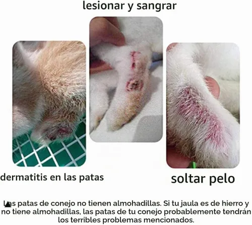 Vista 3 de Hamiledyi 4 alfombrillas de plástico para jaula de conejo, alfombrillas para conejo, hámster, rata, chinchilla, conejillo de indias