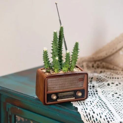 Vista 4 de BESTOYARD Maceta con forma de radio creativa retro maceta suculenta planta contenedor escritorio maceta cactus planta maceta